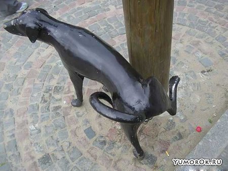 ������������ ��������� ����� ������