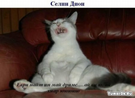 ���� ���� �����!