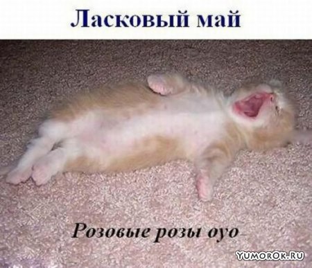 ���� ���� �����!