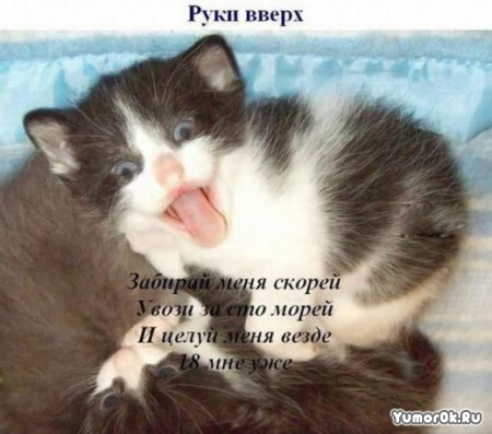 ���� ���� �����!