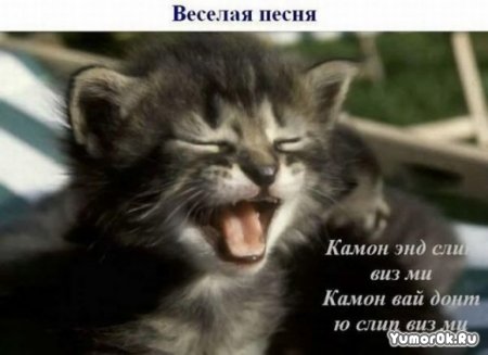 ���� ���� �����!