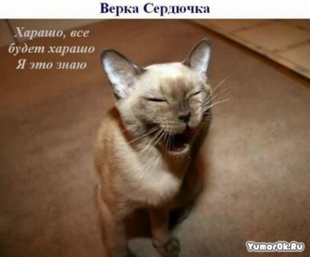 ���� ���� �����!