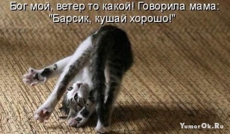 �������� � �����������