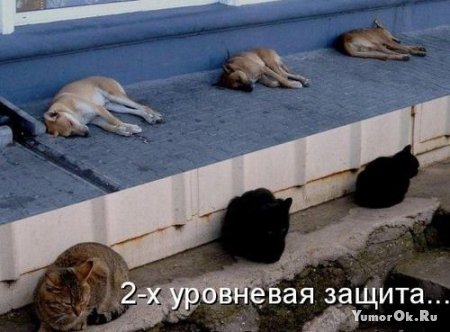 �������� � �����������