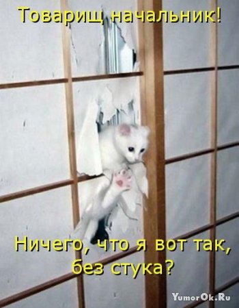 �������� � �����������