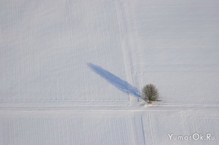� ������ �������� �����