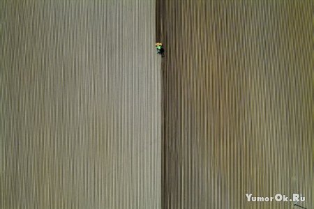 � ������ �������� �����